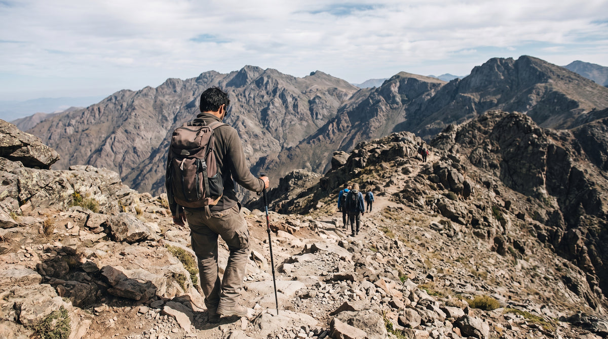 Hiker seen from behind descending a steep rocky mountain trail with a trekking pole, full body, natural light